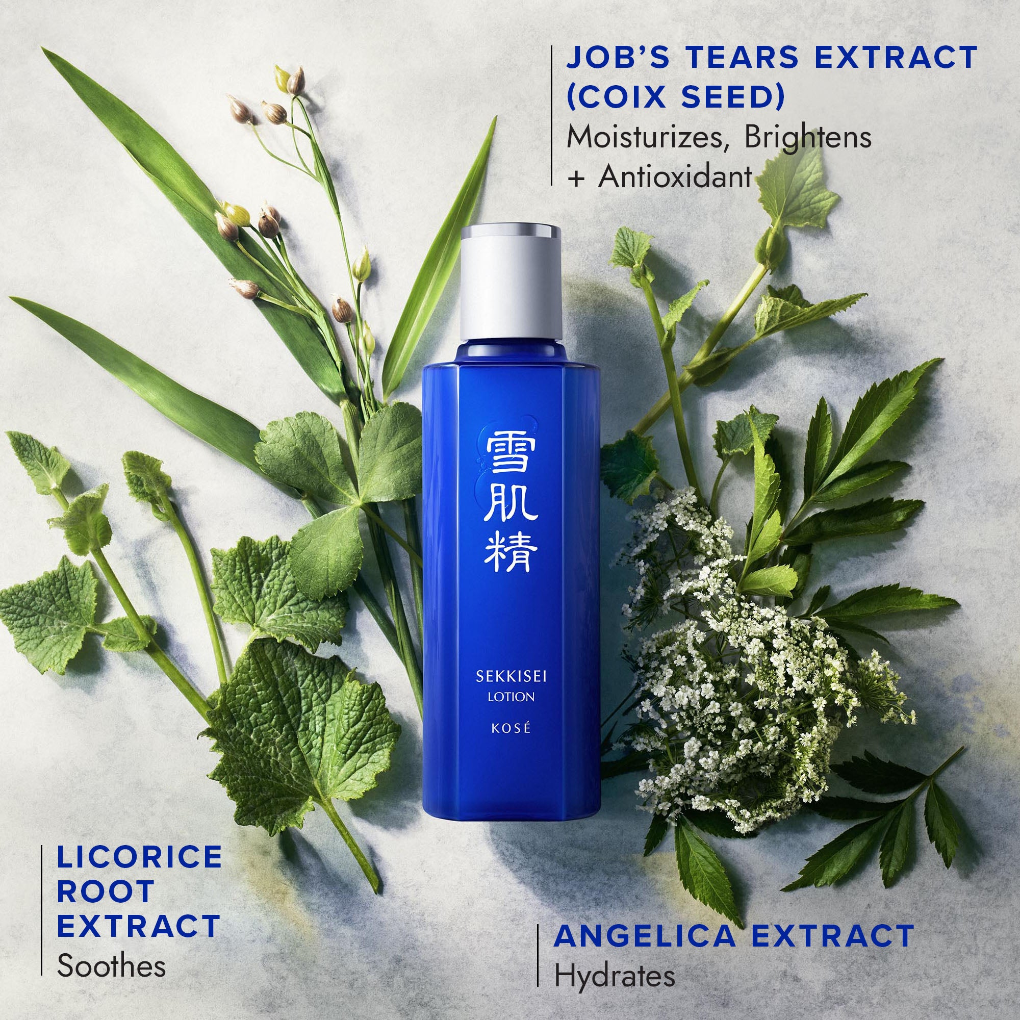 Japanese Hydration Duo – Sekkisei