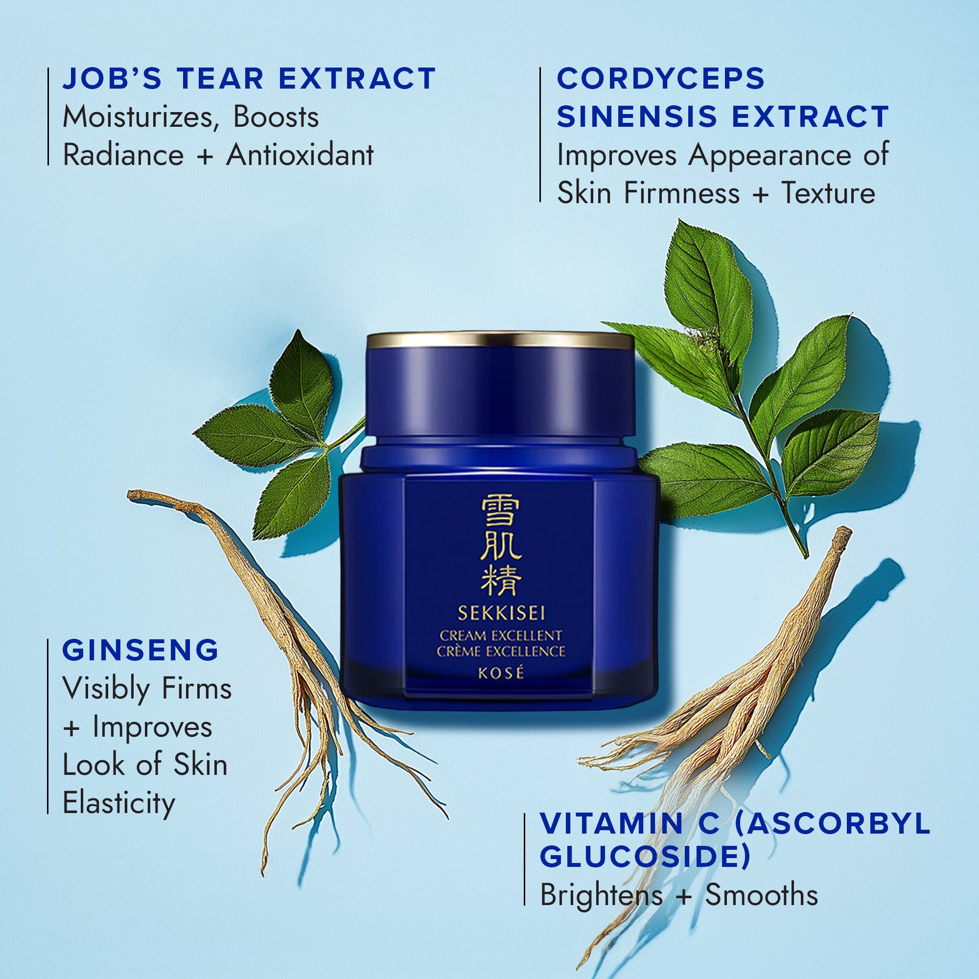 エルセーヌ Oui Apsia EXCELLENT CREAM フェイスクリーム SEKKISEI Cream Excellent – Sekkisei