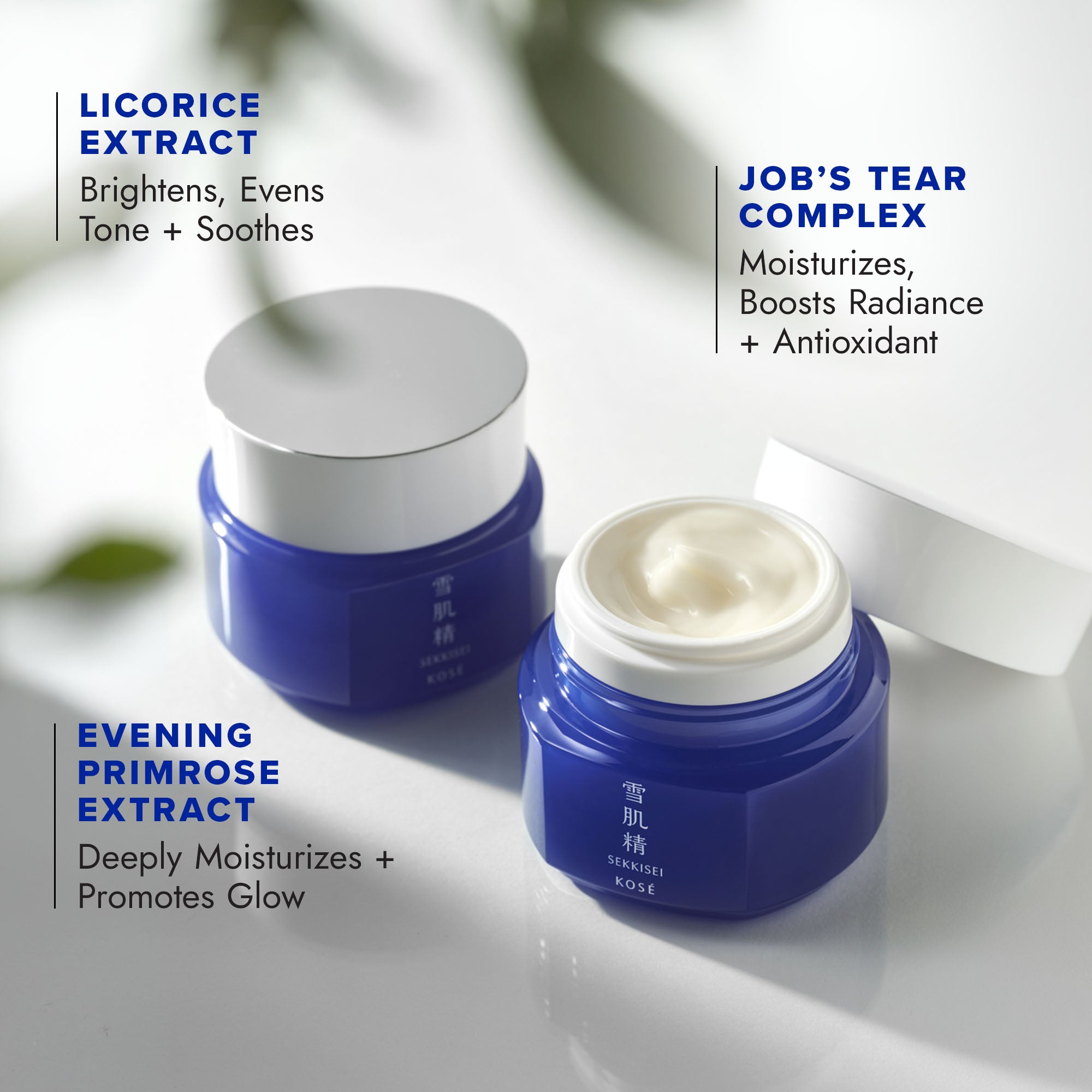 Key ingredients include: LICORICE EXTRACT (Brightens, Evens Tone + Soothes), JOB’S TEAR COMPLEX (Moisturizes, Boosts Radiance + Antioxidant), EVENING PRIMROSE EXTRACT (Deeply Moisturizes + Promotes Glow)