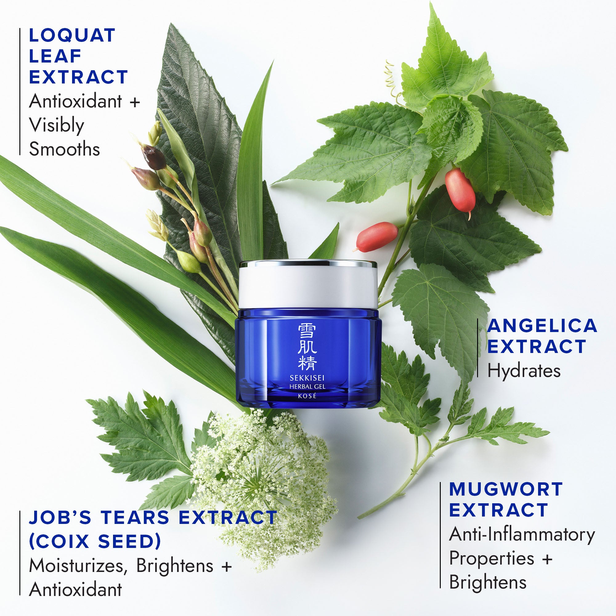 key ingredients for SEKKISEI Herbal Gel: loquat leaf extract, angelica extract, job's tears extract (coix seed). and mugwort extract 