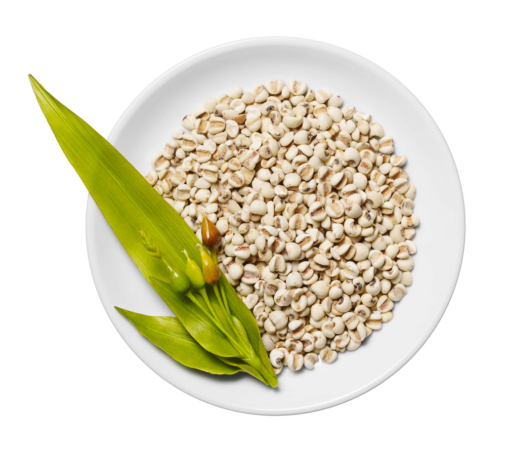 Job’s Tears Extract (Coix Seed)